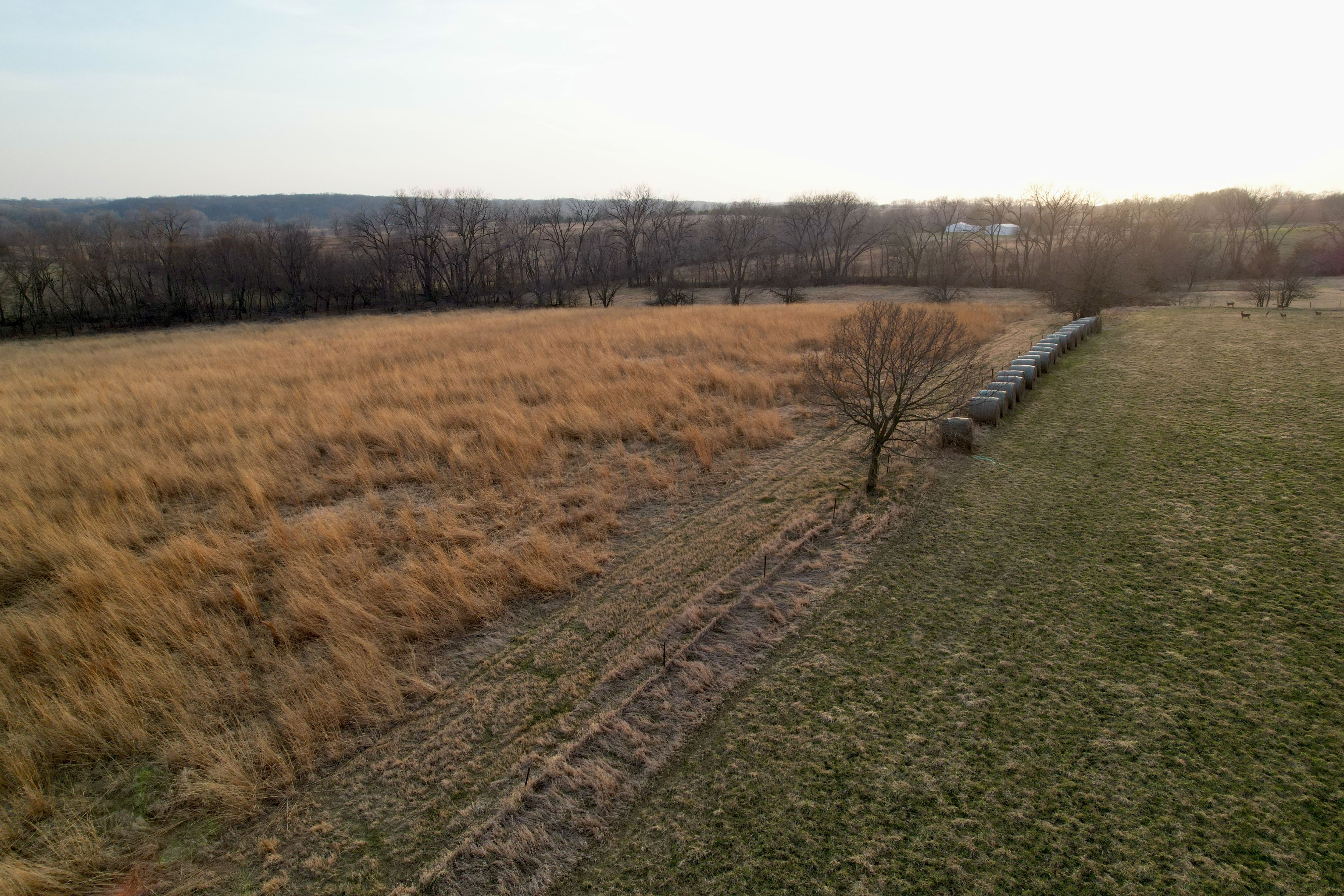 Listing Photo: Photo Mar 25 2026, 6 44 36 PM